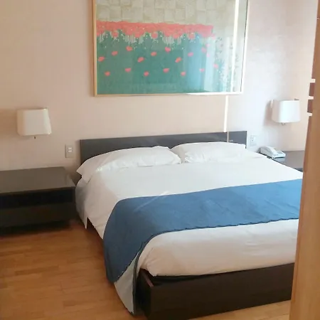 Nizza Apartahotel 2*